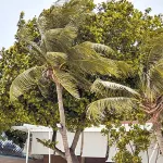 Sawasdee Coco Resort