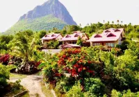 Tet Rouge Resort Hotels near Choiseul Art Gallery and The Cultural Blend Museum
