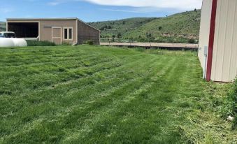 a green grassy field with a white building in the background , under a clear blue sky at Rays Place Inn