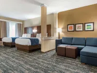 Comfort Inn & Suites Downtown Near University Hotels in Tuscaloosa County