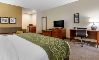 Comfort Inn & Suites Lenoir Hwy 321 Northern Foothills