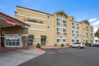 Comfort Inn Flagstaff Lucky Lane I-40 Hotels in Flagstaff