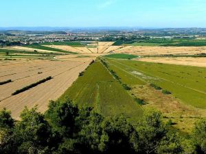 La Marsanne