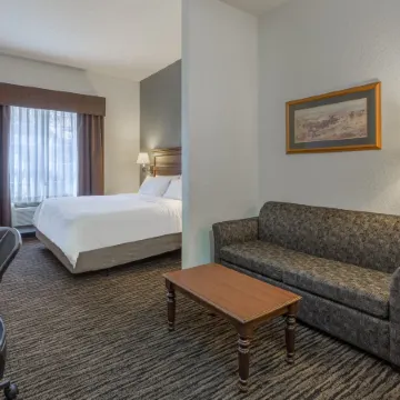 Comfort Inn & Suites Mt Rushmore