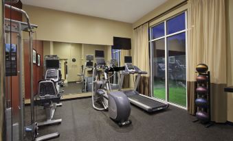 a well - equipped gym with various exercise equipment , including treadmills and elliptical machines , near a window that overlooks a parking lot at Holiday Inn Hammond