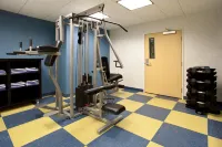 Holiday Inn Express & Suites ROCK SPRINGS GREEN RIVER by IHG - Gym