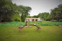 Posada del Olivo Hotel a 