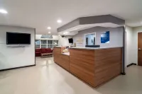 普勒-薩凡納麥客達套房飯店