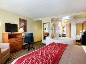 Comfort Inn University Center