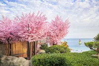 Paradise Hotel Busan Hoteles en Haeundae-gu