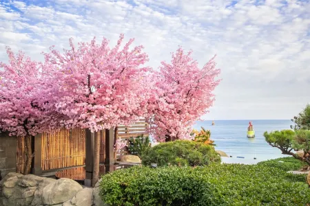 Paradise Hotel Busan