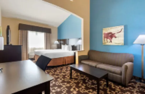 Best Western Plus Arlington North Hotel  Suites Hotels in Grand Prairie