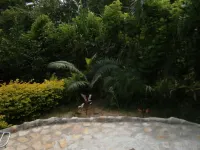 Madera Labrada Lodge Ecologico Hotels in Tarapoto