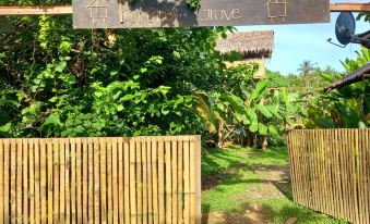 Banana Grove Backpackers Inn