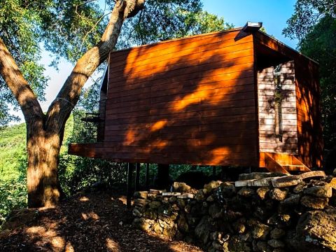 卡帕裡卡阿佐雷斯生態小屋旅館