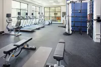 Hilton Garden Inn Dallas/Arlington South - salle de sport