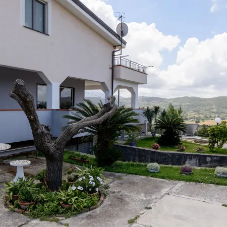 B&B Belvedere