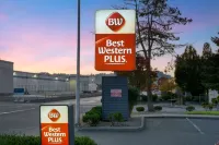 Best Western Plus Mountain View Auburn Inn - Parkplatz