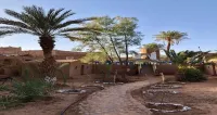 M'Hamid Desert Camp Tours