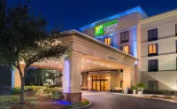 Holiday Inn Express & Suites Tampa-Anderson RD/Veterans Exp