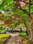 Flame Tree Cottages - 3-Star