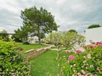 The Olive Tree Hotel Hotels in Catalkoy