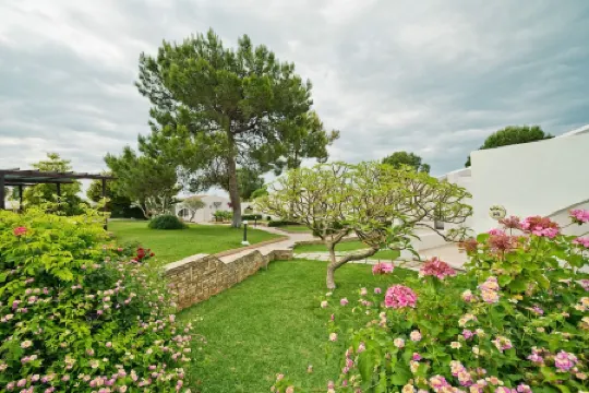 The Olive Tree Hotel