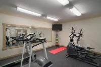 Days Inn & Suites by Wyndham Sault Ste. Marie on - Gym