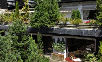 a courtyard with a large tree in the center , surrounded by several smaller trees and bushes at Hotel Mont Blanc Megève