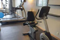 Duluth Inn & Suites Near Spirit Mountain - Gym