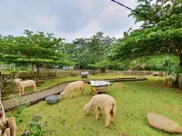 La'Ranch Glamping Adventure
