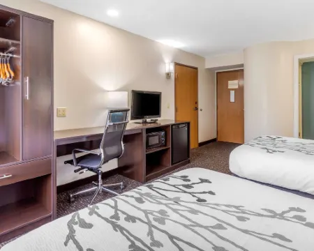 約翰遜城舒眠套房酒店 約翰遜城酒店