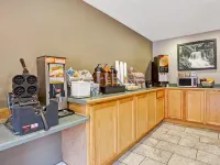 Super 8 by Wyndham Albany - Morgenmad