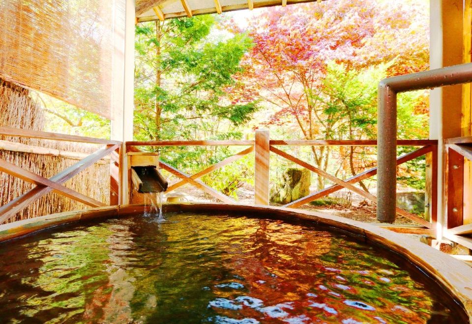 Matsunoi 료칸 객실에서 바라본 산 전망