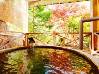 Matsunoi Hotel a Takayama