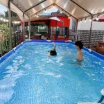 Cheongdo Dolgorae Poolhouse Pension - Pools