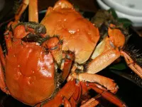 Family and Resort Kawabata