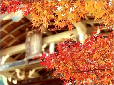 その他 サンメンバーズ京都嵯峨の写真