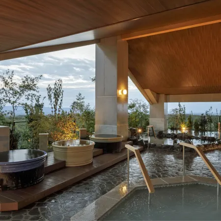 Hotel Mori No Kaze Nasu