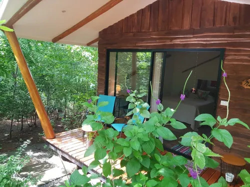 Nalia x1f343; Hotel Baliyana Lodge in the x1f49a; of nature.