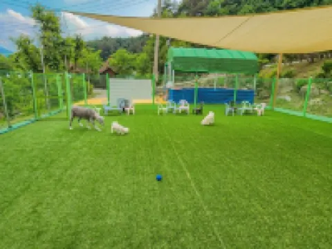 Hwacheon Land Pension (Dog Friendly, Dog Park) Hotels in Hwacheon-gun