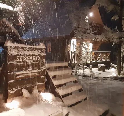 Seisen Ryo Hotels in Ґудзьо