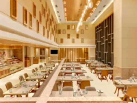 布巴內斯瓦爾檸檬樹一流酒店 布巴內斯瓦爾酒店