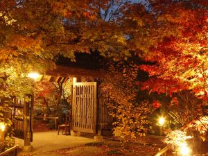 Nipponia Izumo Taisha Shrine Town