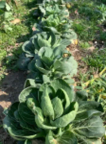 Wenxinwan Loft Jingpin Haijing Minsu (Renmin Road)