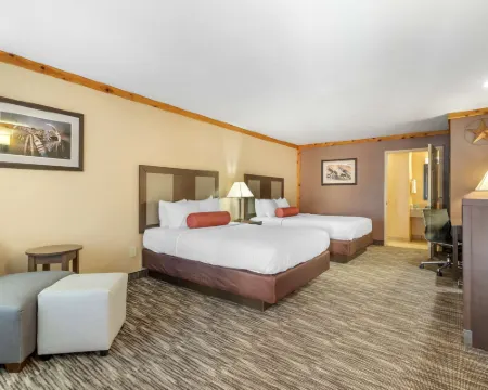 Best Western Windwood Inn  Suites Hotels in Freer