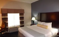 Best Western Plus Kalamazoo Suites Hotels in Oshtemo Township