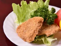 [湯之洞溫泉]石之湯 湯本館 美濃市住宿飯店