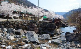 Miryang Sunflower Pension