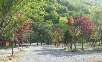 Gurye Jirisan Bannaegol Auto Camping Site
